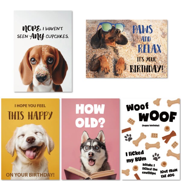 Dog Funny Birthday Card 10 Pack