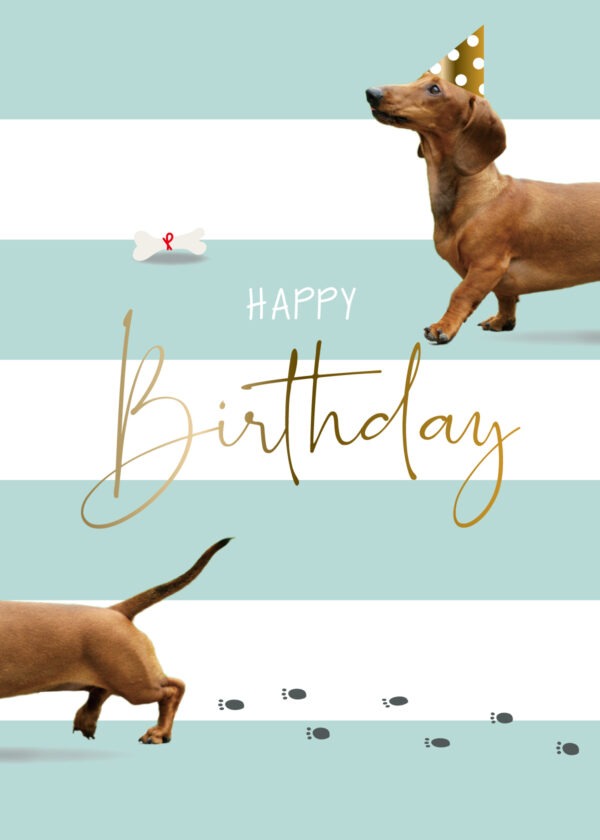 Dachshund Birthday Card