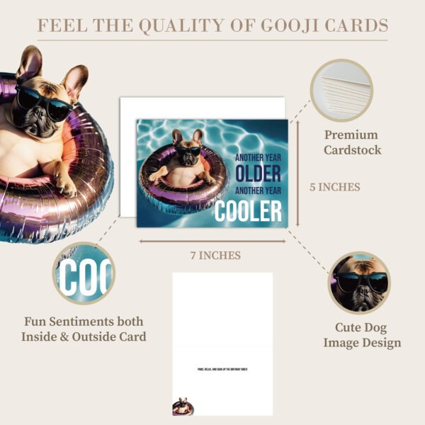 Cooler Pool Dog Birthday Card