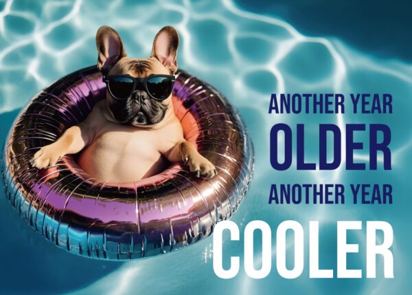 Cooler Pool Dog Birthday Card
